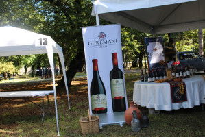 გურჯაანის ღვინის ფესტივალი 2017