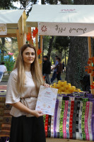 მეგა გოლდ
