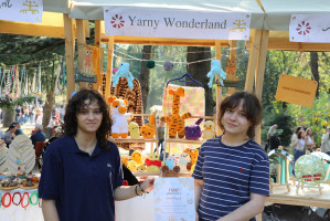 Yarny Wonderland
