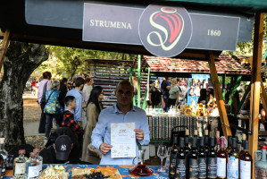 STRUMENA 1860