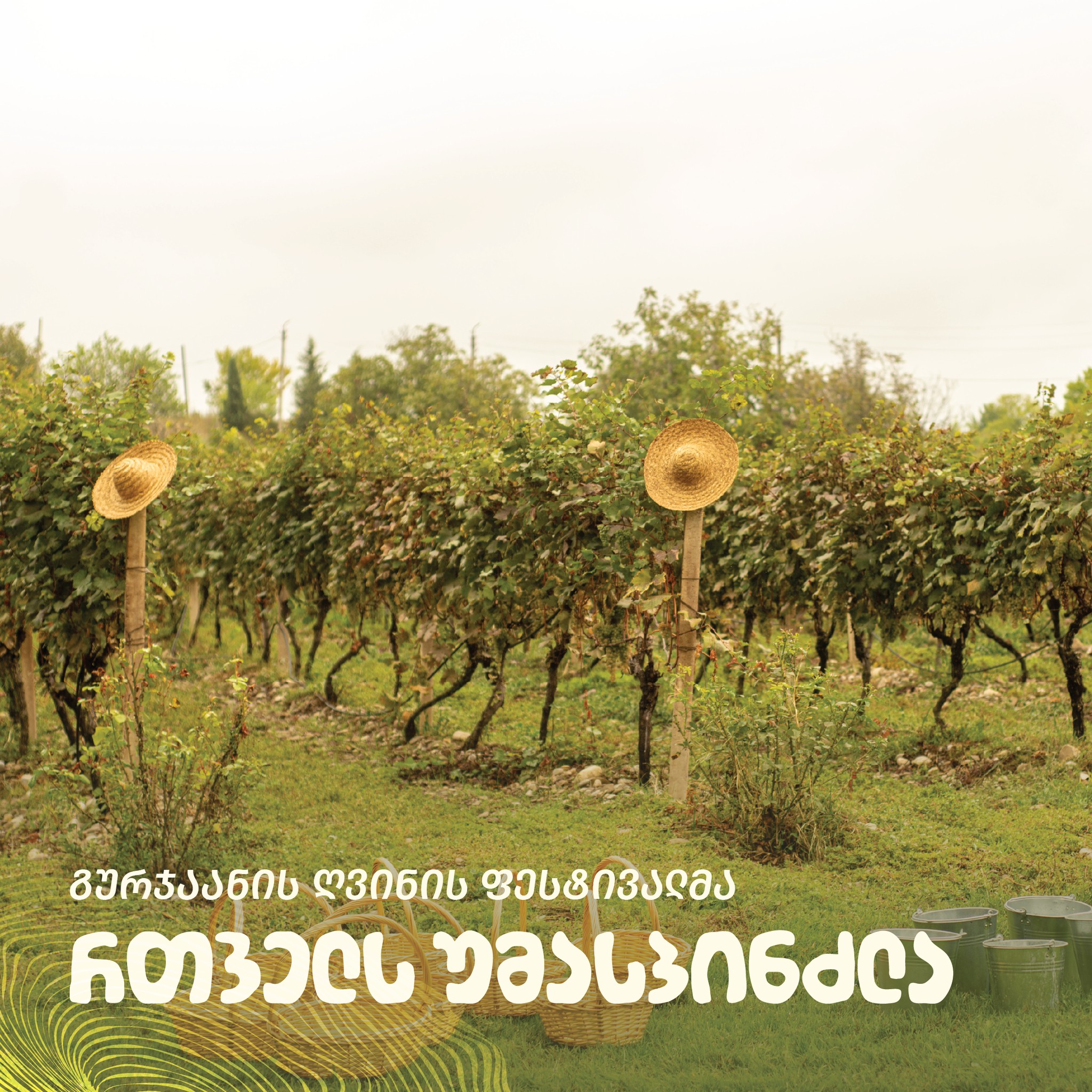 გურჯაანის ღვინის ფესტივალი