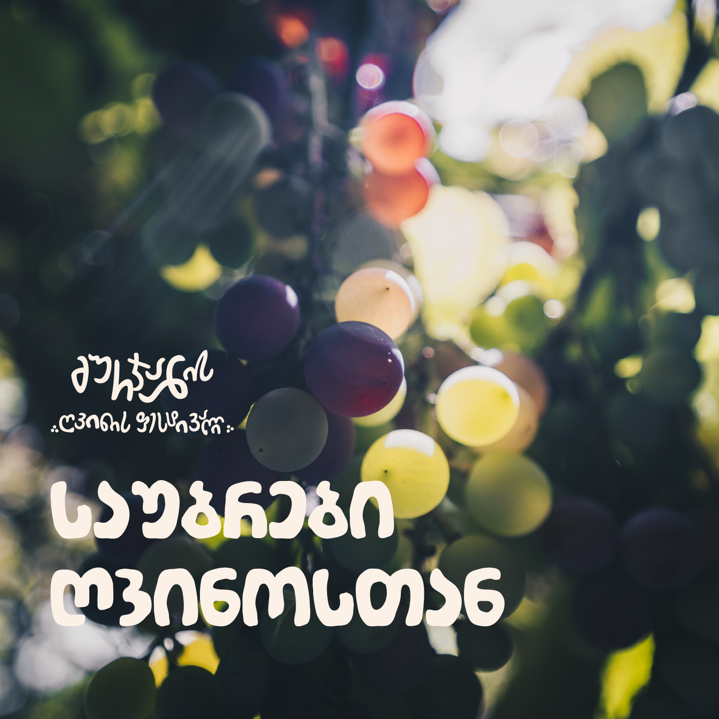 გურჯაანში მზე ცოტა დიდხანს ჩერდება, გამორჩეულად ანათებს და ყურძნის მტევნებსაც განსაკუთრებულად ათბობს